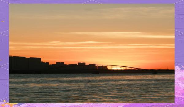 三角洲手游下载官服正版(给我一个三角洲手游官服正版的下载链接) 三角洲手游下载官服正版(给我一个三角洲手游官服正版的下载链接)