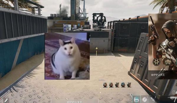 三角洲什么角色可以召唤寻血猎犬(哪个角色可以无条件召唤寻血猎犬?) 三角洲什么角色可以召唤寻血猎犬(哪个角色可以无条件召唤寻血猎犬?)